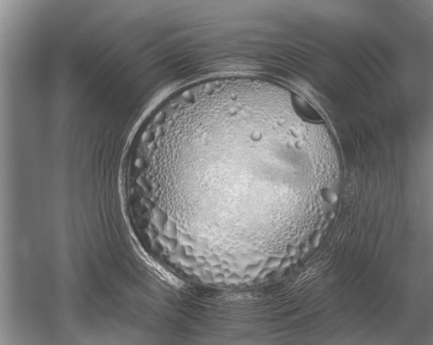 X0000051251243200507082142