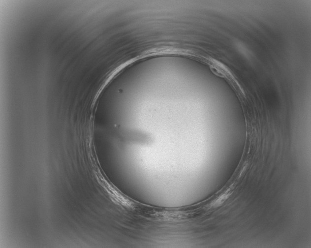 X0000051251244200507082142