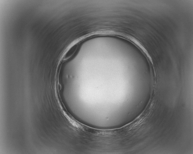 X0000051251245200507082142