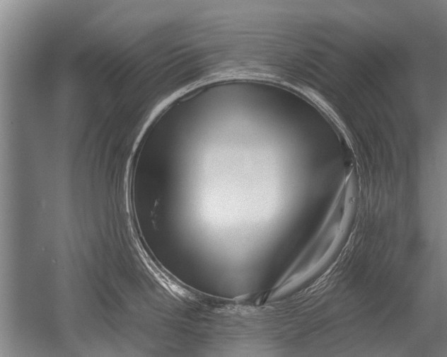 X0000051251246200507082142