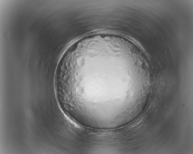 X0000051251247200507082142