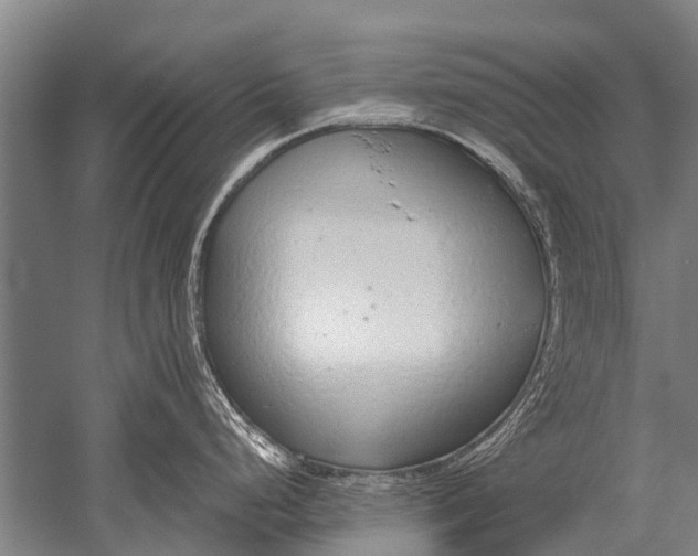 X0000051251248200507082142