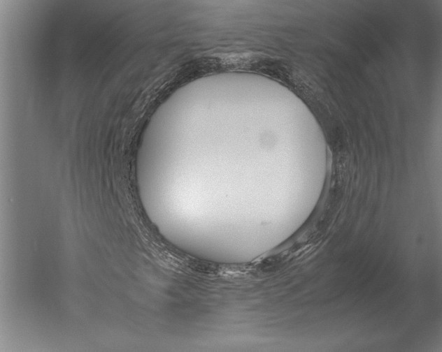 X0000051251249200507082141