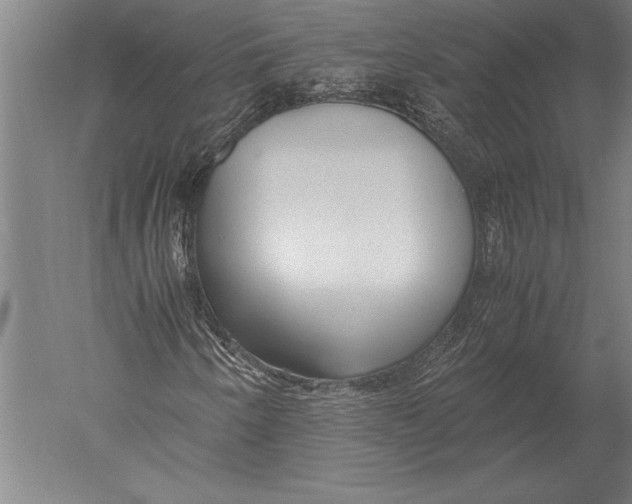 X0000051251250200507082141