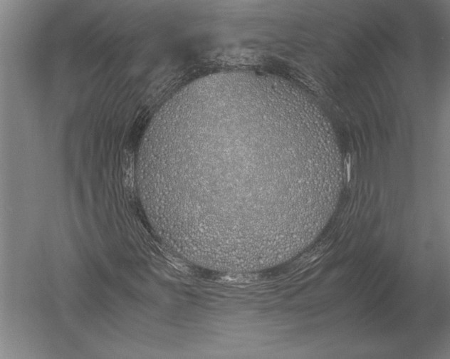 X0000051251251200507082141