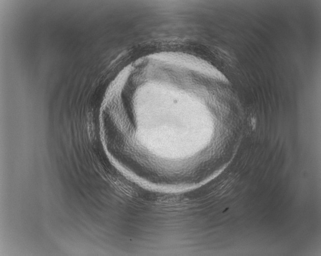 X0000051251252200507082141