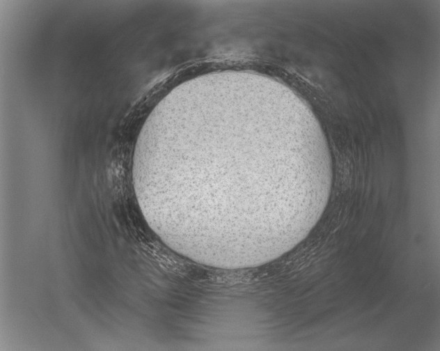 X0000051251254200507082141