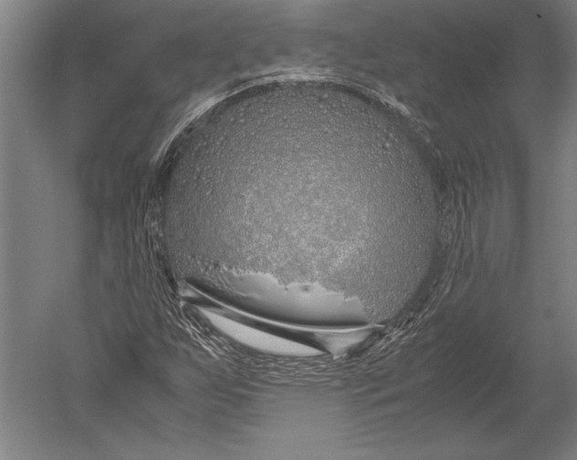 X0000051251255200507082141