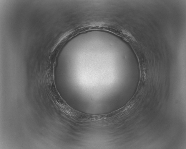 X0000051251256200507082141