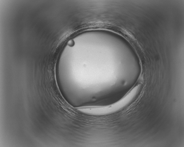 X0000051251259200507082141