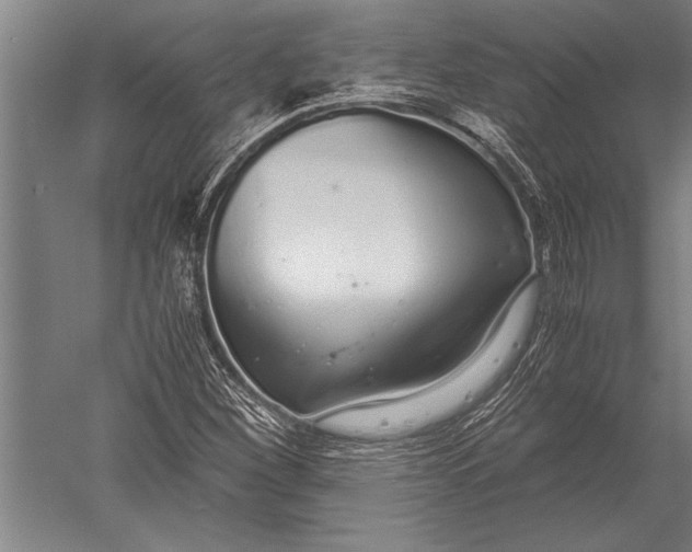 X0000051251260200507082141