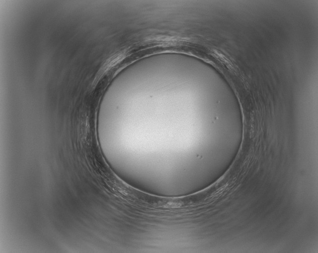 X0000051251261200507082141