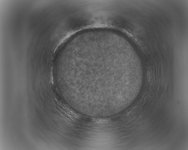 X0000051251262200507082141