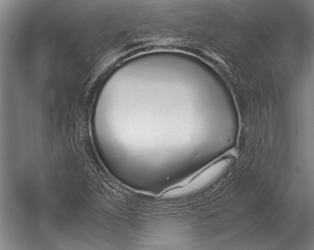 X0000051251263200507082141