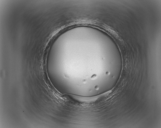 X0000051251264200507082141