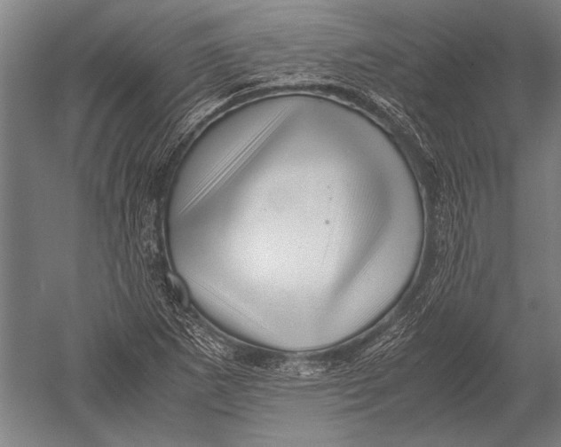 X0000051251265200507082141