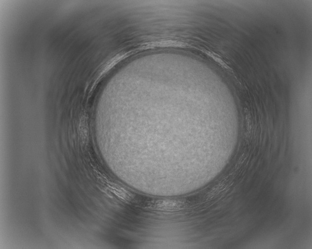 X0000051251266200507082141