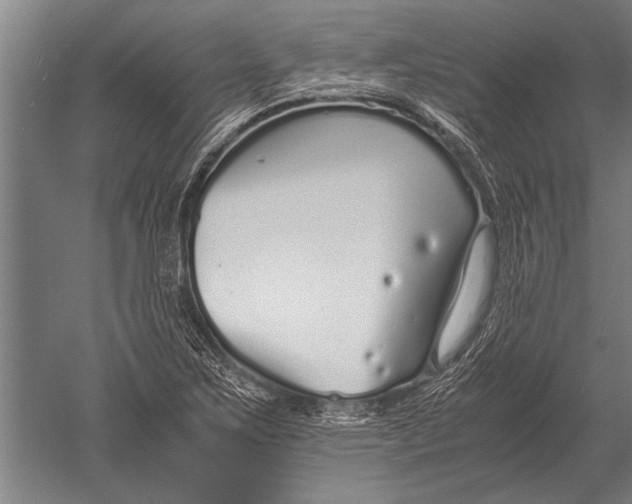 X0000051251267200507082141