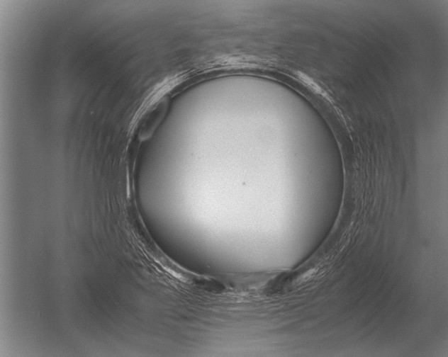 X0000051251269200507082141