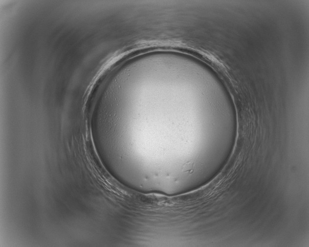 X0000051251271200507082141