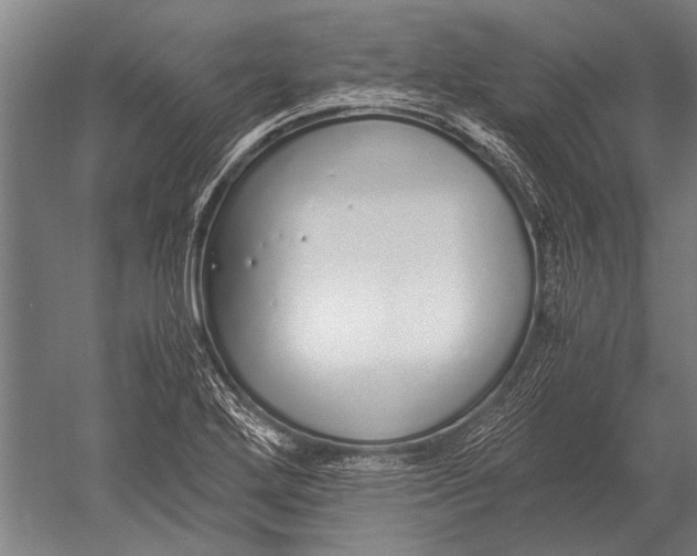 X0000051251272200507082141