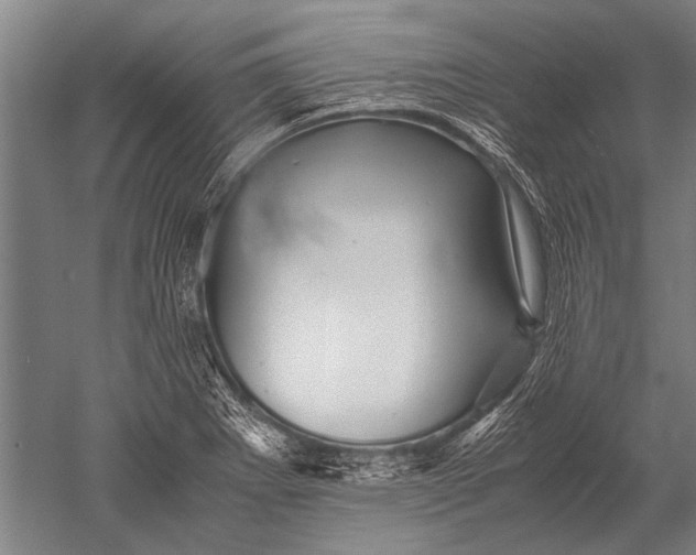 X0000051251273200507082141