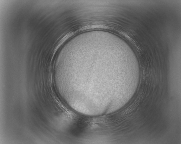 X0000051251274200507082141