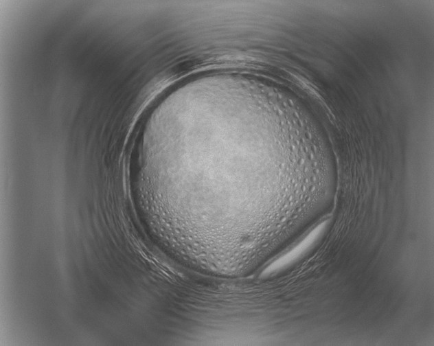 X0000051251275200507082141