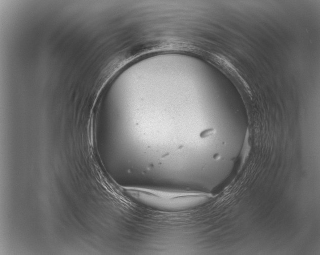 X0000051251276200507082141