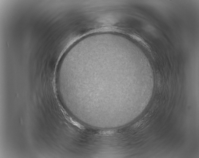 X0000051251278200507082141