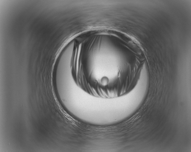 X0000051251279200507082141