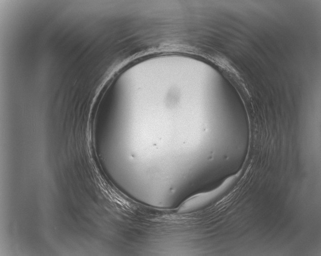 X0000051251280200507082141