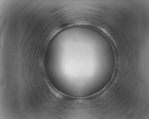 X0000051251281200507082141