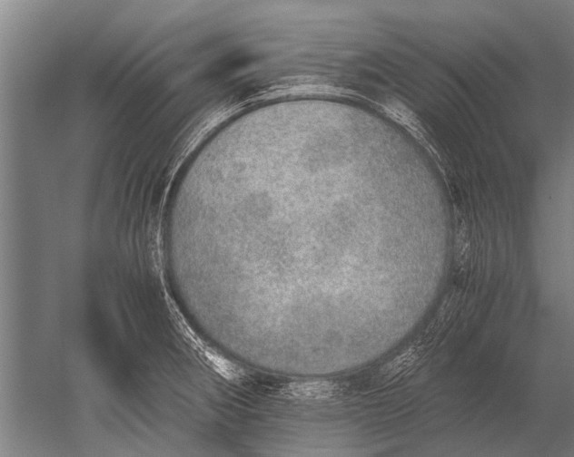 X0000051251282200507082140