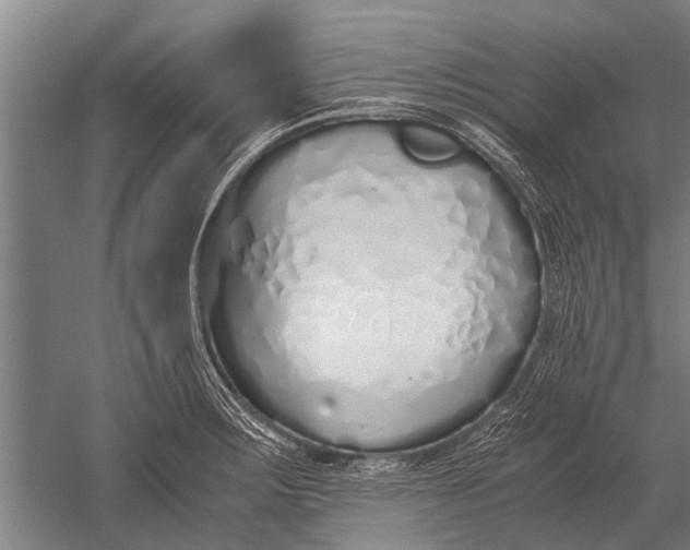 X0000051251283200507082140