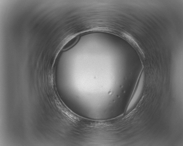 X0000051251284200507082140