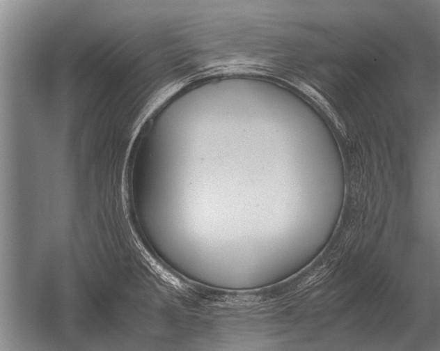 X0000051251285200507082140