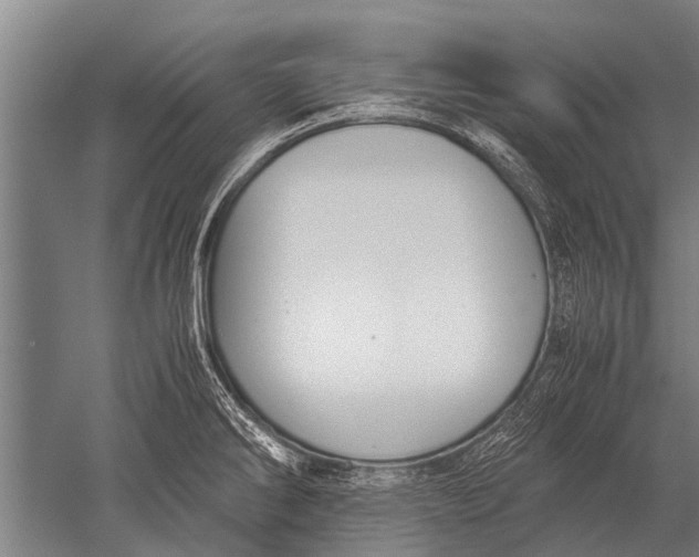 X0000051251286200507082140