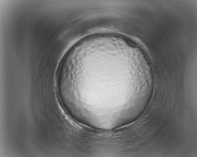 X0000051251287200507082140