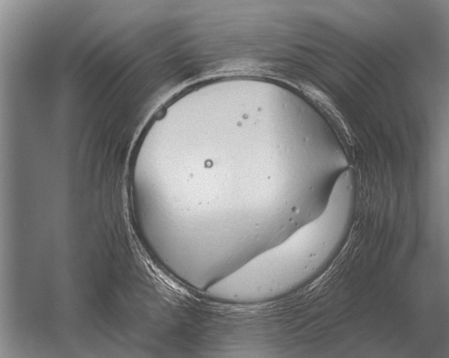 X0000051251288200507082140