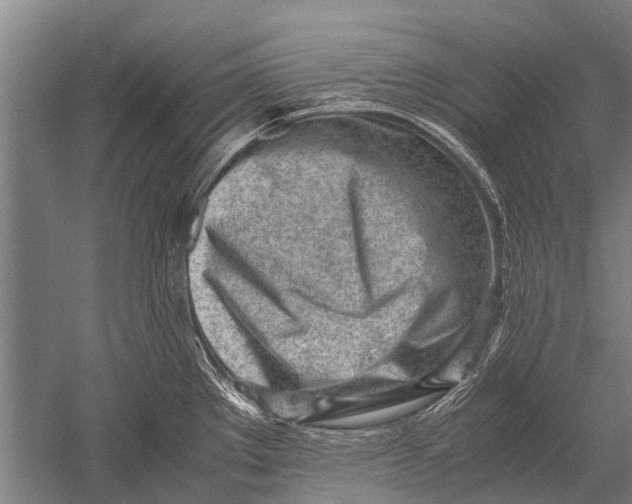 X0000051251289200507082140