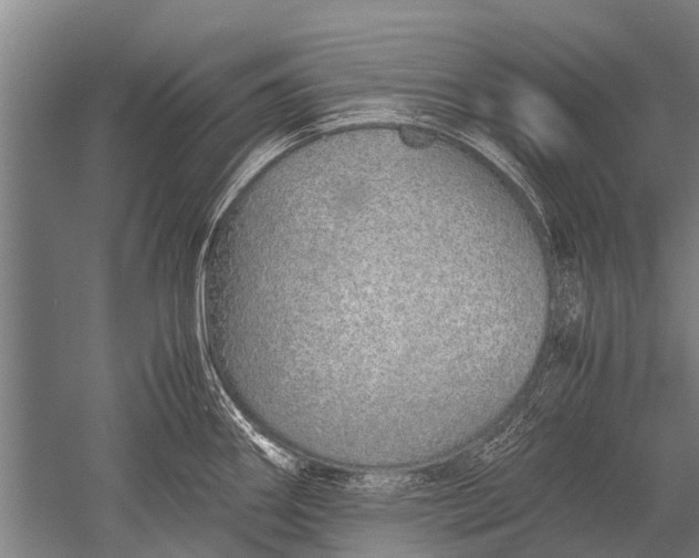 X0000051251290200507082140