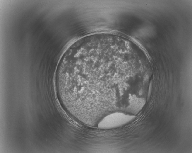 X0000051251291200507082140