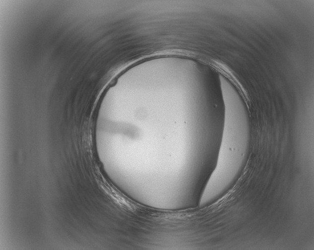 X0000051251292200507082140