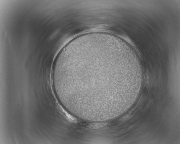 X0000051251294200507082140