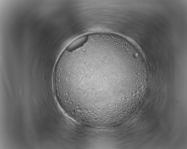 X0000051251295200507082140