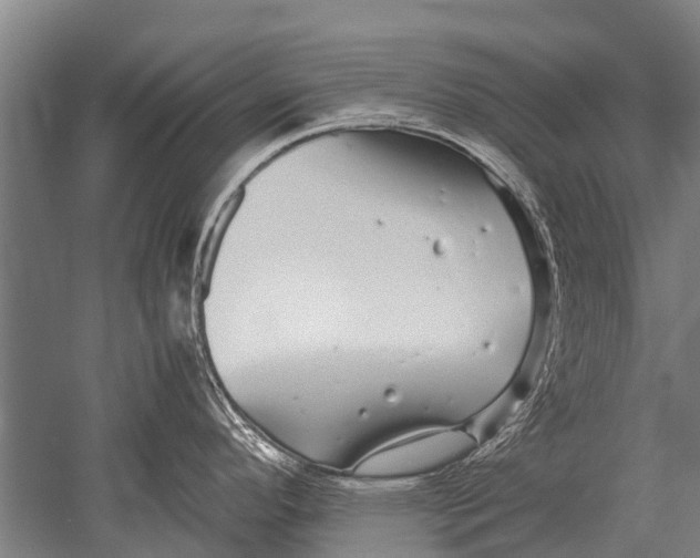 X0000051251296200507082140