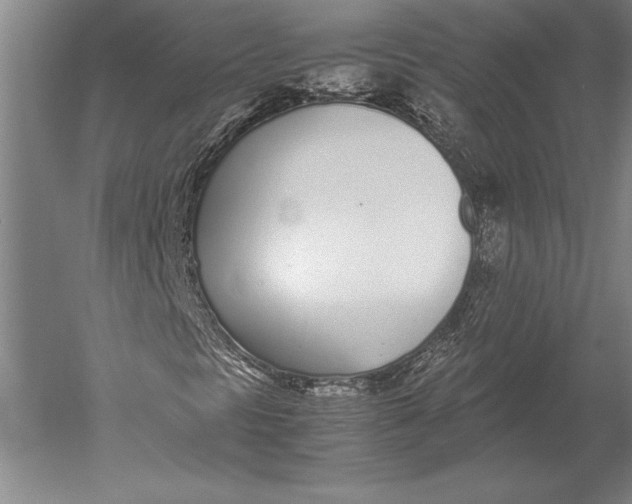 X0000051251297200507082139