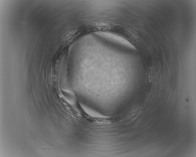 X0000051251298200507082139