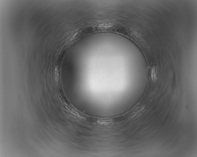 X0000051251299200507082139